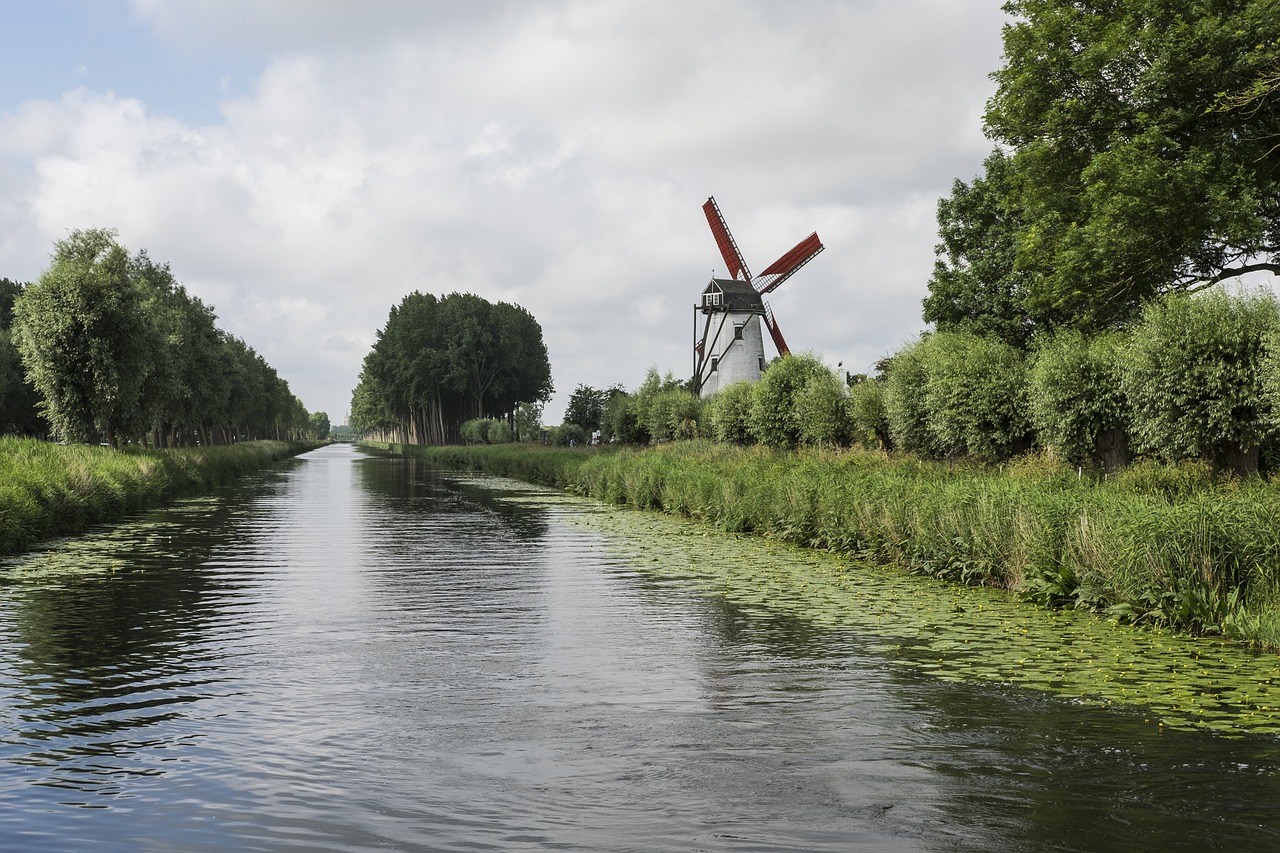 Foto van de molen van Damme