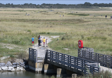 Foto van het Zwin