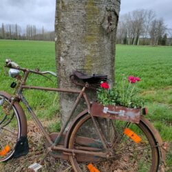 Foto van een roeste fiets tegen een boom met bloembak aan de bagagedrager