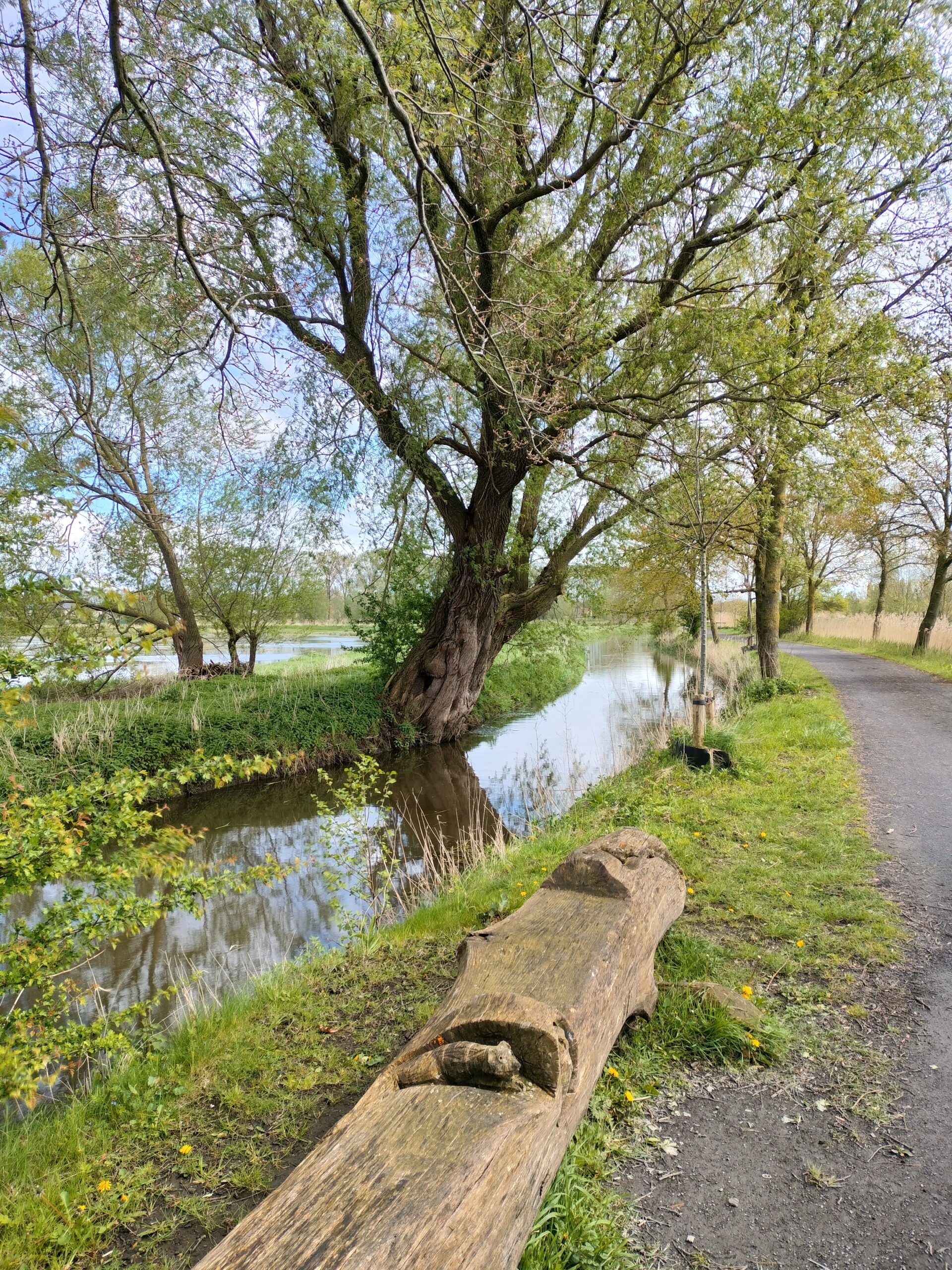 Foto van een bank langs een wandelpad met op de achtergrond de beek en de plassen van de Assebroekse Meersen