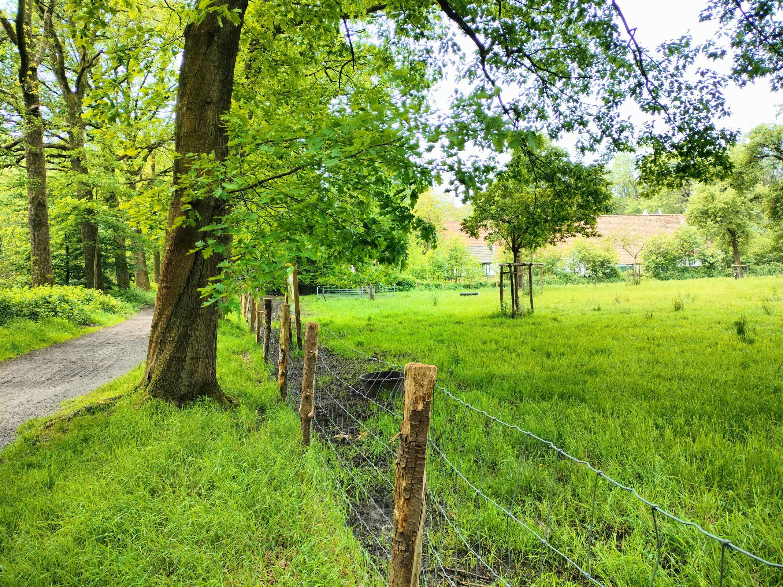 Foto van een pad in het bos met rechts daarvan een boomgaard en op de achtergrond een witte hoeve