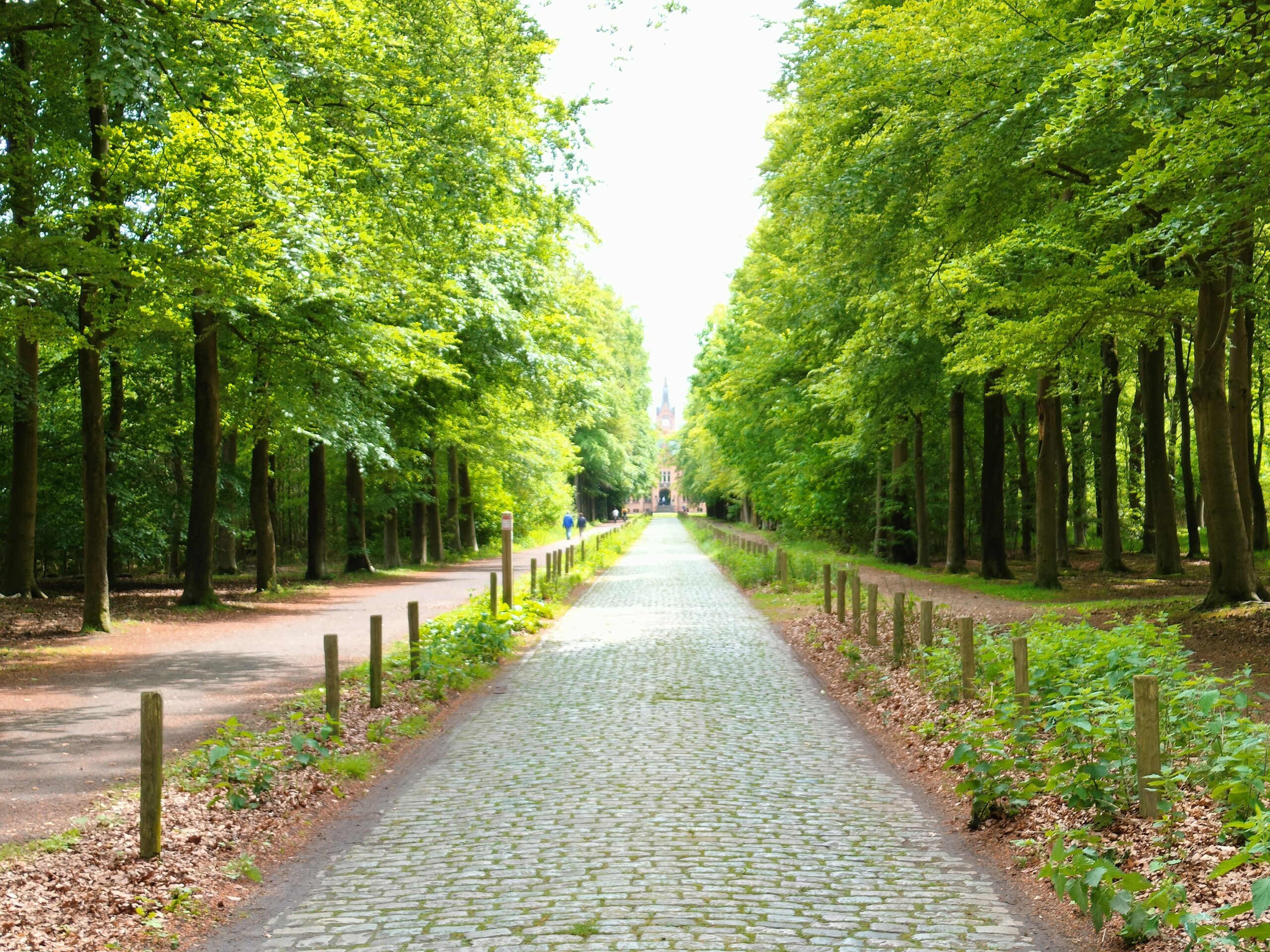 Foto van de oprijlaan naar het kasteel van Ryckevelde