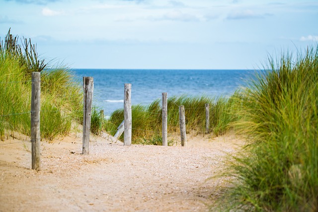 Foto van een pad in de duinen met op de achtergrond de zee