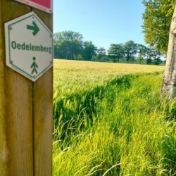 Foto van een wegwijzer met 'Oedelemberg' in een groen landbouwlandschap