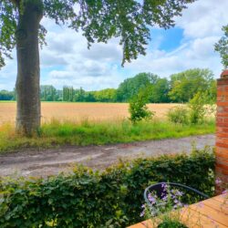 Foto genomen vanop een terrasje met zicht op graanveld en dreef